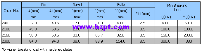 Conveyor Chain (Z series) Z40 Z100 Z160 Z300