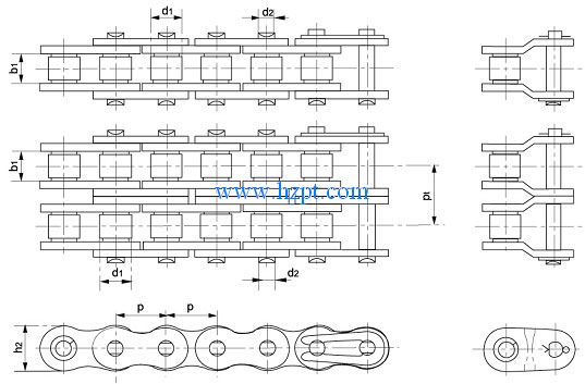 Chain,Chains,A Series Short Pitch Roller Chain 40SS-1,50SS-1,60SS-1,80SS-1,100SS-1,120SS-1,40SS-2,50SS-2,60SS-2,80SS-2,100SS-2,120SS-2