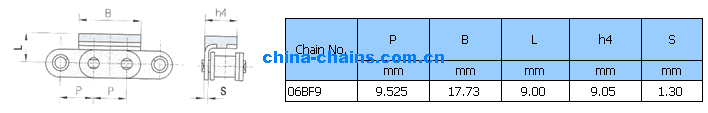 Roller Chain with Vulcanised Elastomer Profiles 06BF9