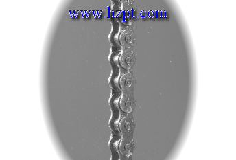 Chain,Chains,Special Chains,Stainless Steel Chain 25SS,35SS,40SS,50SS,60SS,80SS,100SS,120SS,C2040SS,C2042SS,A2040SS,C2050SS,C2052SS,A2050SS,06BSS,10BSS,16BSS,06BSS,60FSS